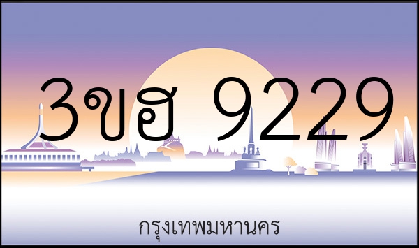3ขฮ 9229